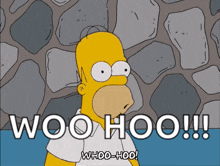 Homer Simpson woohoo